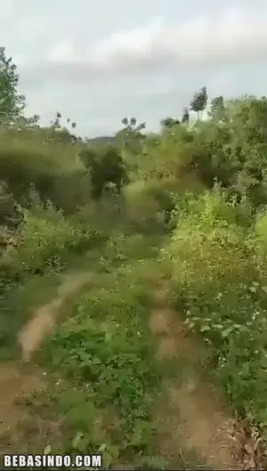 Bokep Terbaru Ngentot Adik Teman di Tempat Sepi Bokep Terbaru Ngentot Adik Teman di Tempat Sepi